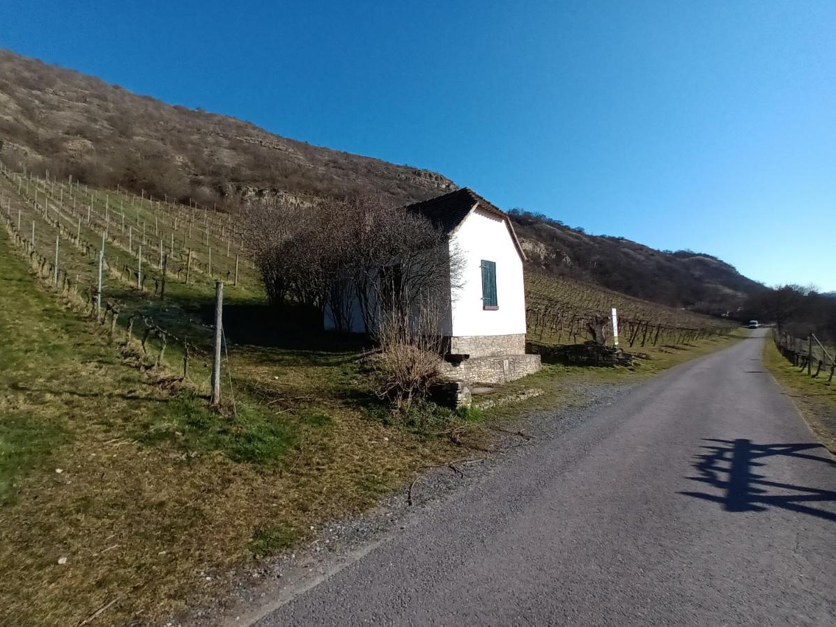 Ferienwohnung Naumburgliebe Naumburg  Exteriör bild